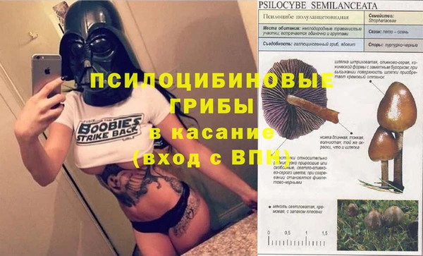 амф Алзамай